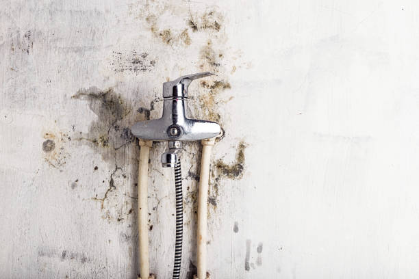 Best Residential Mold Removal  in Harrisburg, PA