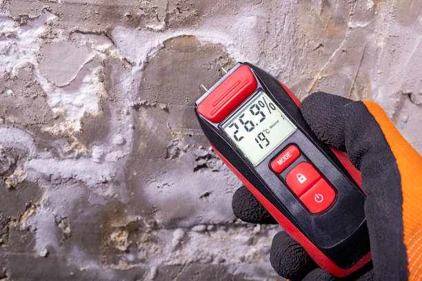 Best Emergency Mold Removal  in Harrisburg, PA