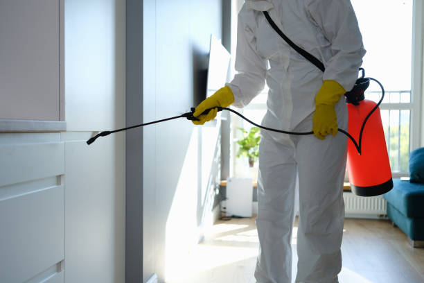 Best Home Mold Removal  in Harrisburg, PA