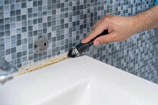 Best Mold Removal Process  in Harrisburg, PA
